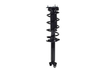 Suspension Strut and Coil Spring Assembly