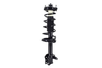 Suspension Strut and Coil Spring Assembly