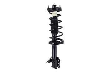 Suspension Strut and Coil Spring Assembly