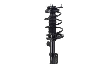 Suspension Strut and Coil Spring Assembly