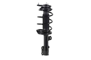 Suspension Strut and Coil Spring Assembly