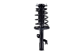 Suspension Strut and Coil Spring Assembly