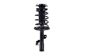 Suspension Strut and Coil Spring Assembly