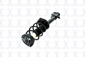 Suspension Strut and Coil Spring Assembly