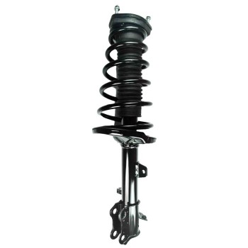 Suspension Strut and Coil Spring Assembly