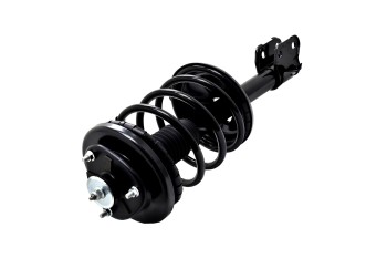 Suspension Strut and Coil Spring Assembly