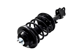 Suspension Strut and Coil Spring Assembly