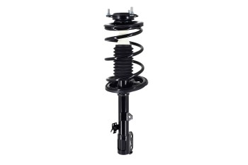 Suspension Strut and Coil Spring Assembly