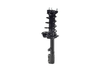 Suspension Strut and Coil Spring Assembly
