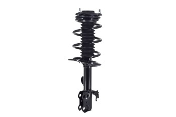 Suspension Strut and Coil Spring Assembly