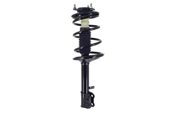 Suspension Strut and Coil Spring Assembly