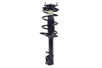 Suspension Strut and Coil Spring Assembly