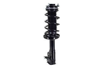 Suspension Strut and Coil Spring Assembly