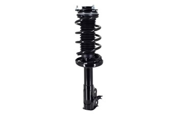 Suspension Strut and Coil Spring Assembly