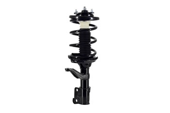 Suspension Strut and Coil Spring Assembly