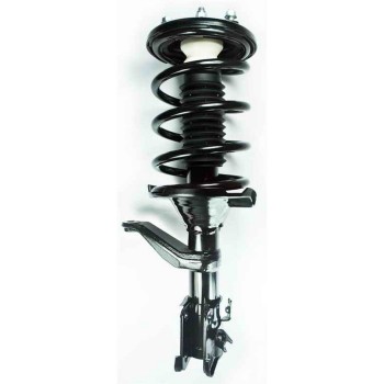 Suspension Strut and Coil Spring Assembly
