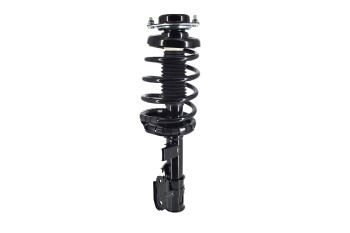 Suspension Strut and Coil Spring Assembly