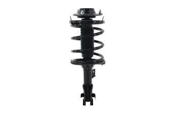 Suspension Strut and Coil Spring Assembly