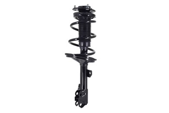Suspension Strut and Coil Spring Assembly