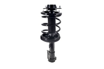 Suspension Strut and Coil Spring Assembly