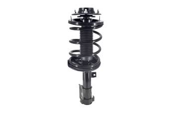 Suspension Strut and Coil Spring Assembly