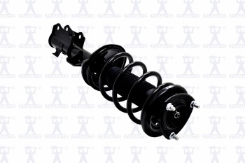Suspension Strut and Coil Spring Assembly