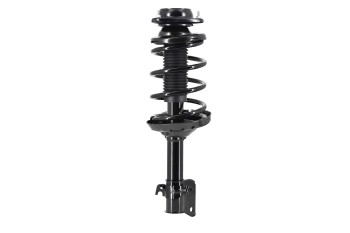 Suspension Strut and Coil Spring Assembly
