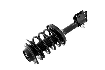Suspension Strut and Coil Spring Assembly