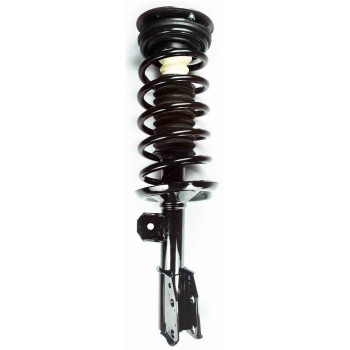 Suspension Strut and Coil Spring Assembly