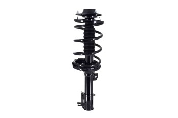 Suspension Strut and Coil Spring Assembly