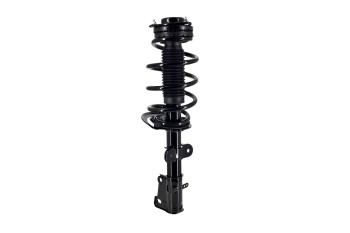 Suspension Strut and Coil Spring Assembly