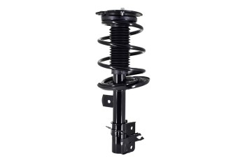 Suspension Strut and Coil Spring Assembly