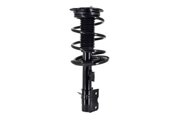 Suspension Strut and Coil Spring Assembly
