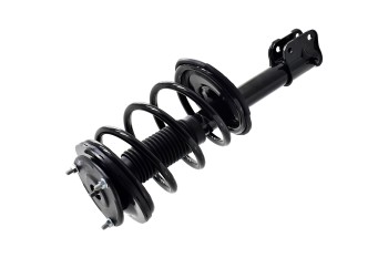 Suspension Strut and Coil Spring Assembly