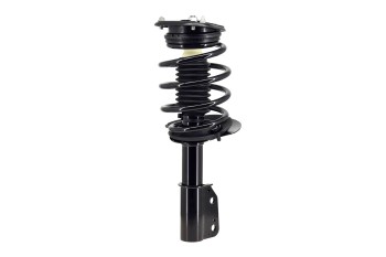 Suspension Strut and Coil Spring Assembly
