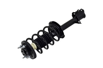 Suspension Strut and Coil Spring Assembly