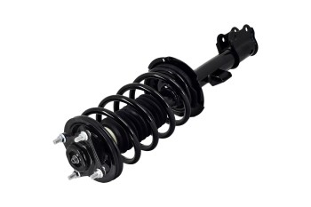 Suspension Strut and Coil Spring Assembly