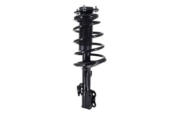 Suspension Strut and Coil Spring Assembly