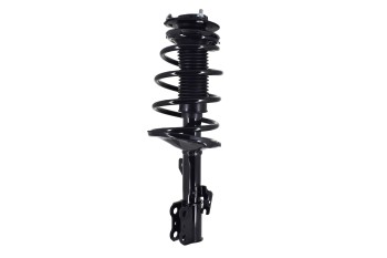 Suspension Strut and Coil Spring Assembly