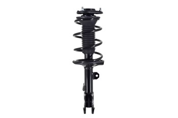 Suspension Strut and Coil Spring Assembly