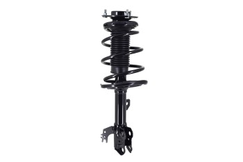 Suspension Strut and Coil Spring Assembly