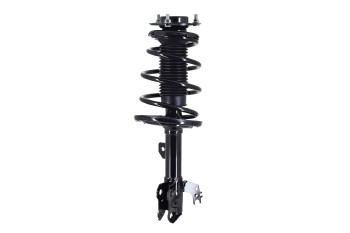 Suspension Strut and Coil Spring Assembly