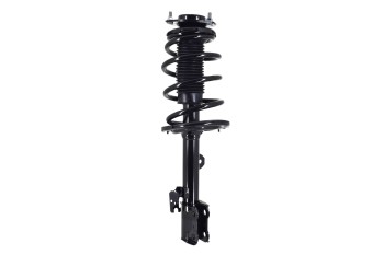 Suspension Strut and Coil Spring Assembly