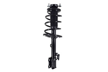 Suspension Strut and Coil Spring Assembly