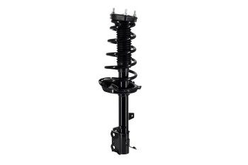 Suspension Strut and Coil Spring Assembly