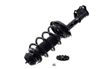 Suspension Strut and Coil Spring Assembly