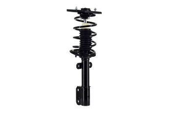 Suspension Strut and Coil Spring Assembly