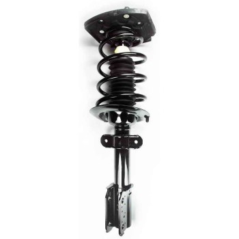 Suspension Strut and Coil Spring Assembly