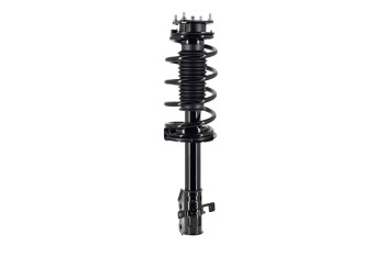 Suspension Strut and Coil Spring Assembly