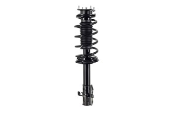 Suspension Strut and Coil Spring Assembly